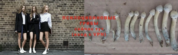 героин Кодинск