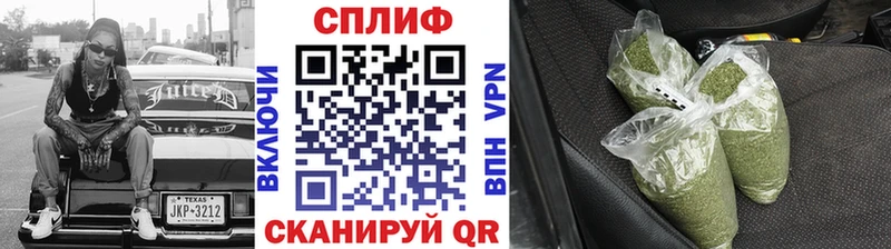 Купить  Бавлы  Конопля планчик 